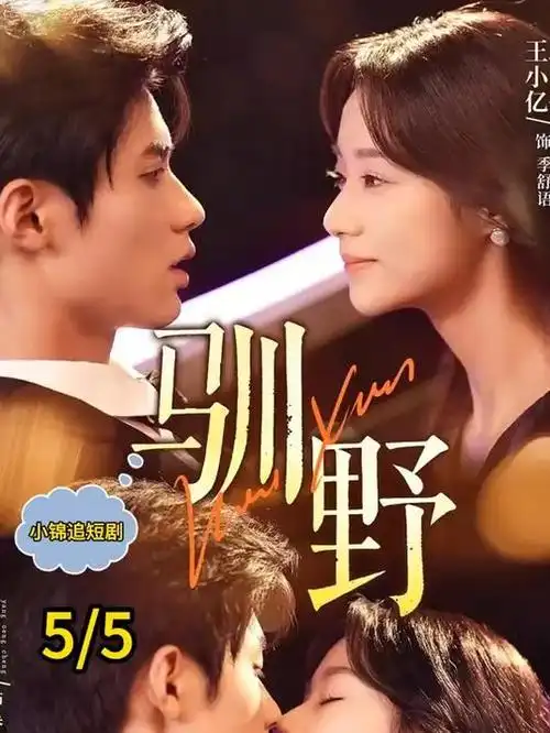 暗涌之城 都市剧全集手机免费观看